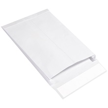 Expandable Ship-Lite® Envelopes image