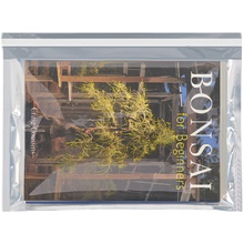 9 1/2 x 12 3/4" Translucent Silver Glamour Mailers image