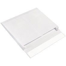 10 x 15 x 2" Expandable Ship-Lite® Envelopes image